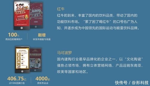谷形科技 專業Java定制開發與營銷推廣服務，助力企業數字化升級